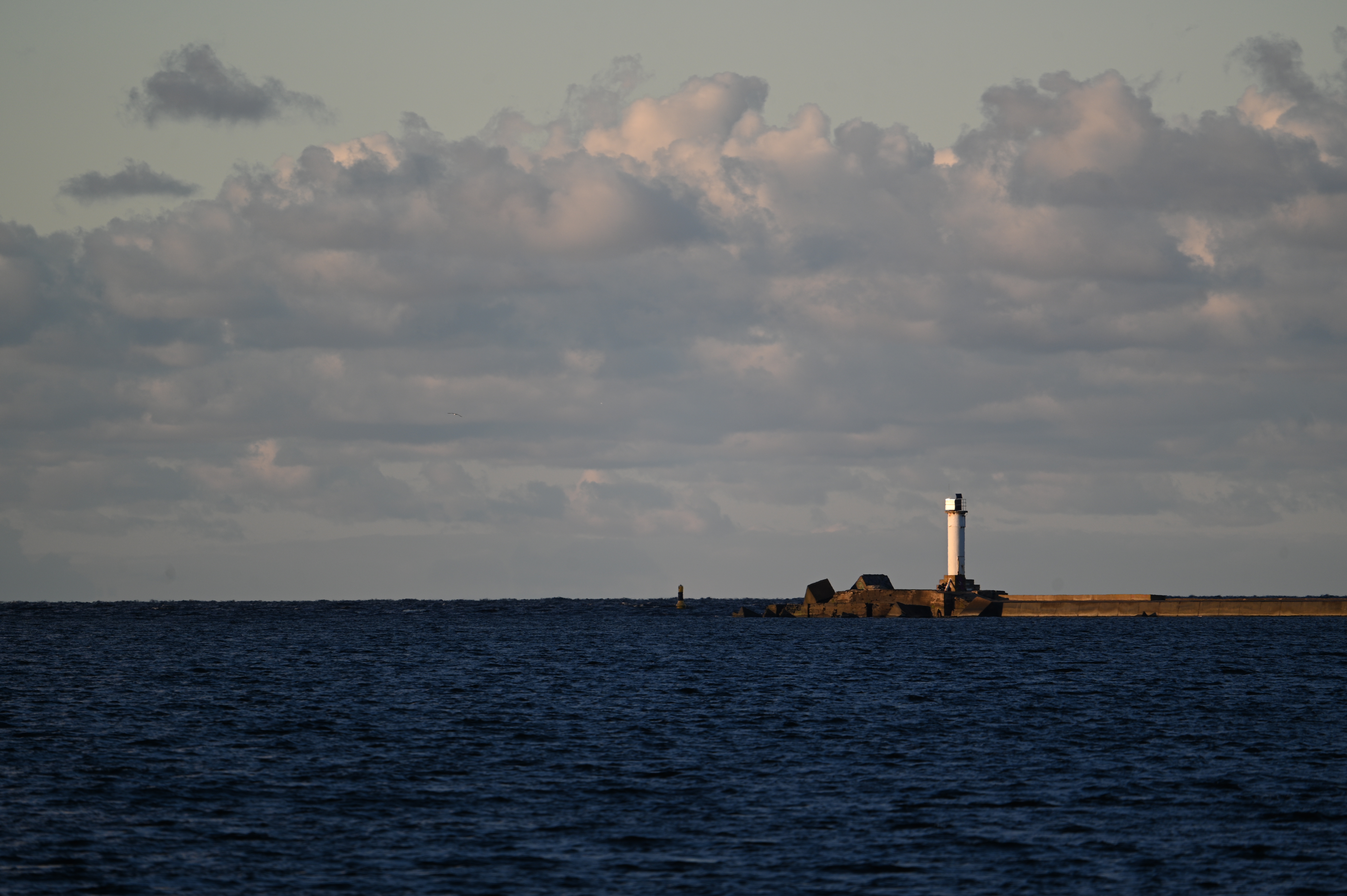 2025/10/18 - walk/DSC_0209.JPG